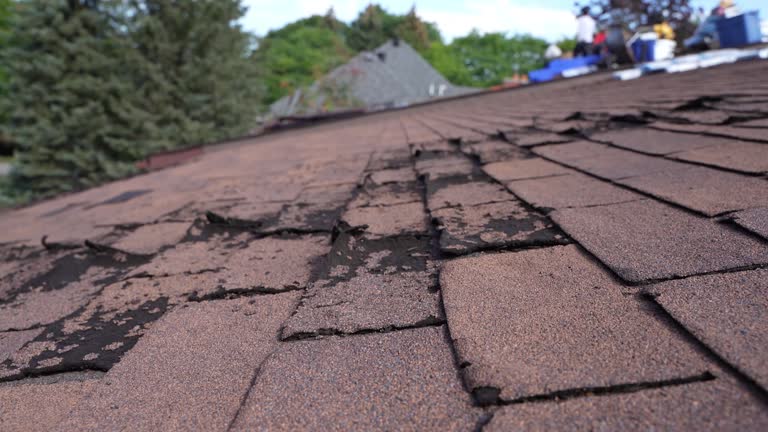 Best Roof Coating and Sealing  in Woodhaven, MI