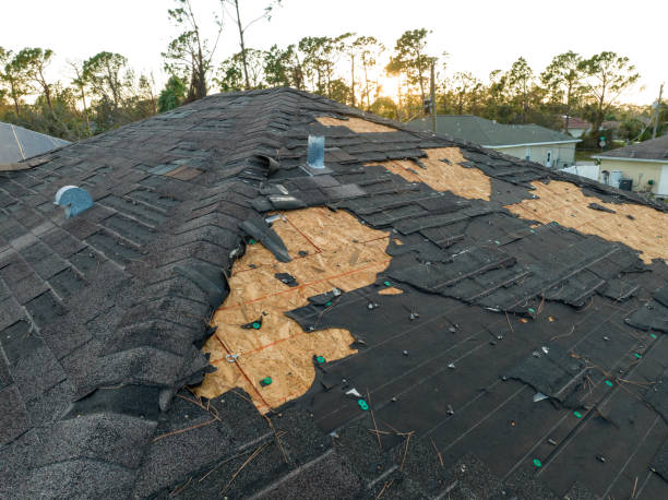 Best Roof Replacement  in Woodhaven, MI